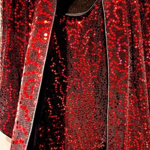 Alex Evenings 2 pc Sequin